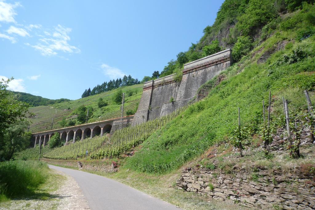 布里德尔Weingut & Gaestehaus Mees公寓 外观 照片