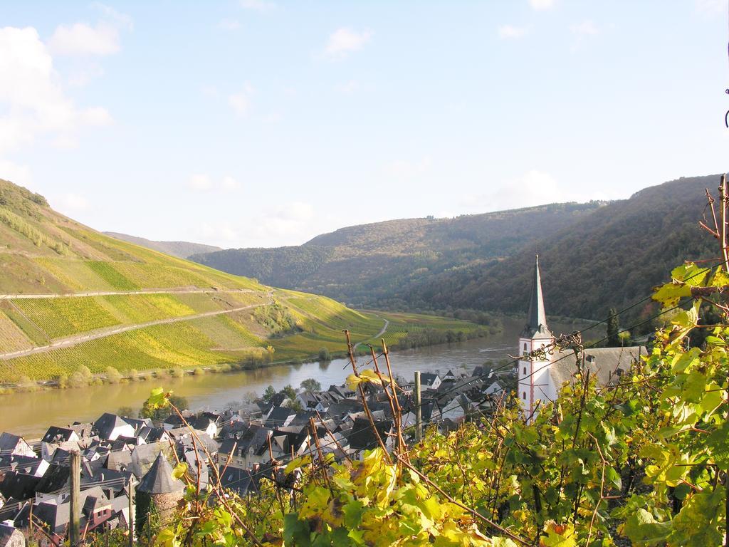 布里德尔Weingut & Gaestehaus Mees公寓 外观 照片